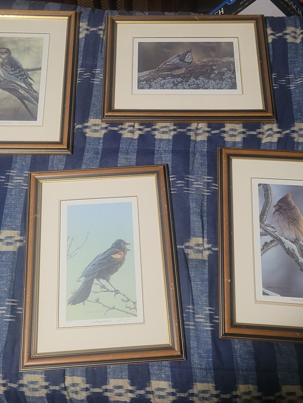 Set of Four Framed Bird Prints in Brown and Gold Frames